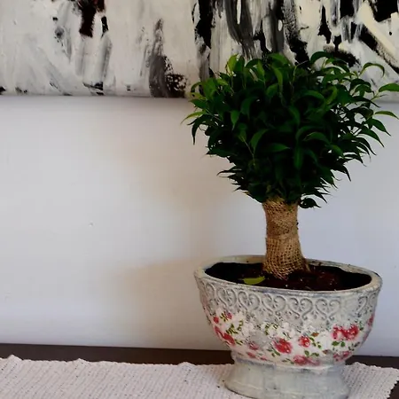 Prunus Apartman *